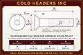 flat-head-socket-cap-screw-nylon-pellet-18-8-stainless.png