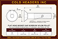 flat-head-socket-cap-screw-nylon-pellet.png