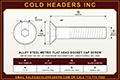 metric-flat-head-cap-screw-alloy.png